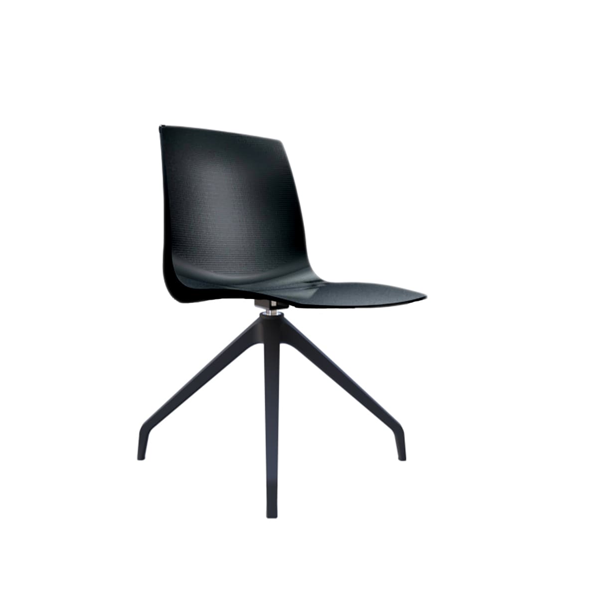 ARI-VAR-4-SWISS-NEGRO