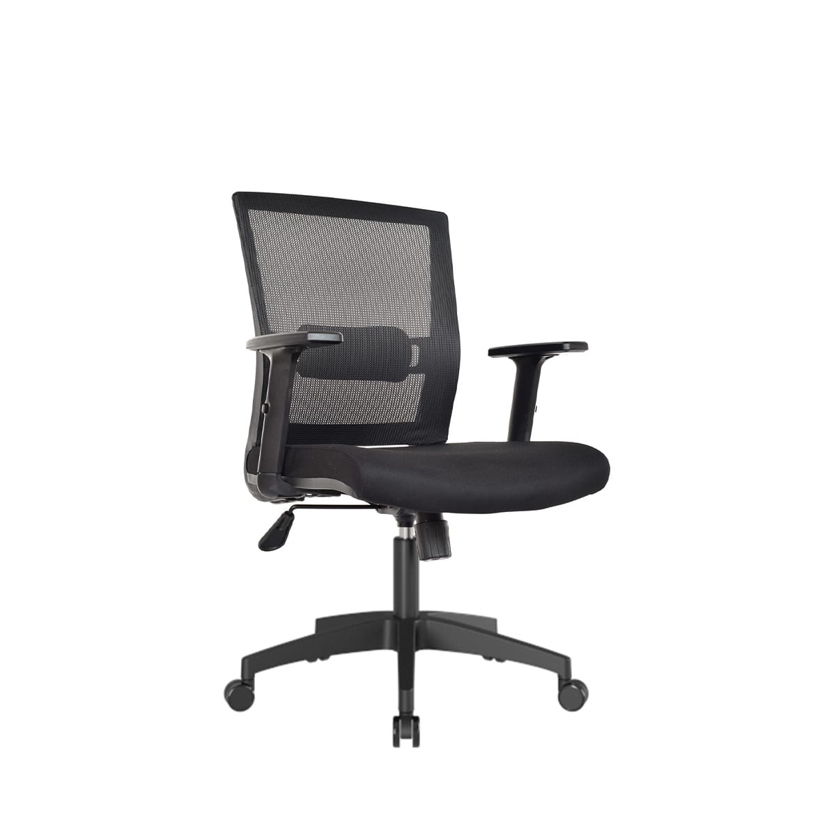 KATA-CSL-GTE-VAR-NYL-min