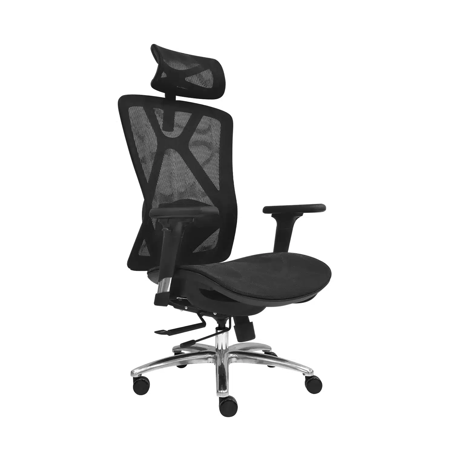 Levi Plus II