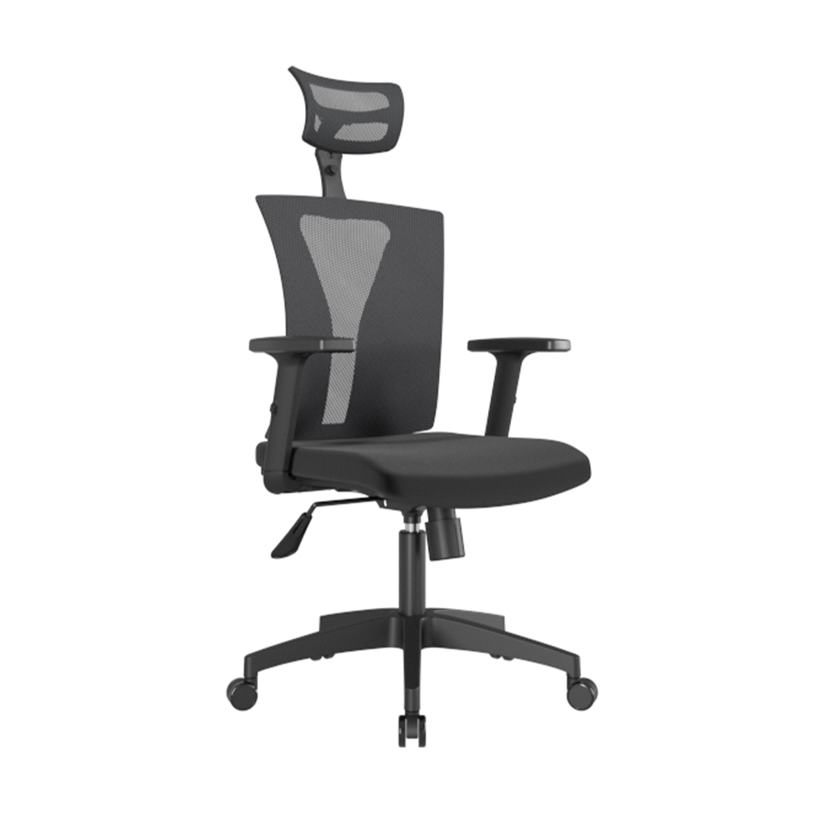 NIZA-PSTE-SSL-VAR-NYL